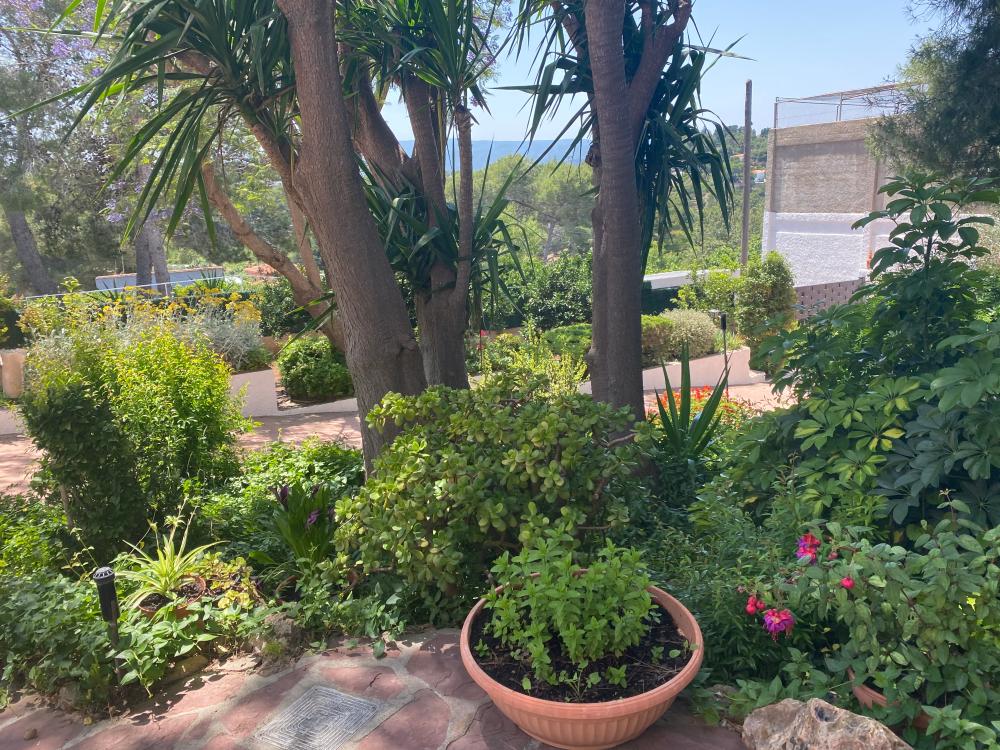  à vendre villa Montserrat Ribera Alta 6