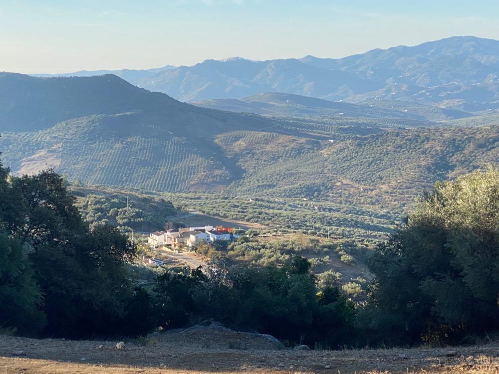  à vendre maison jumelée Alfarnatejo Axarquía 29