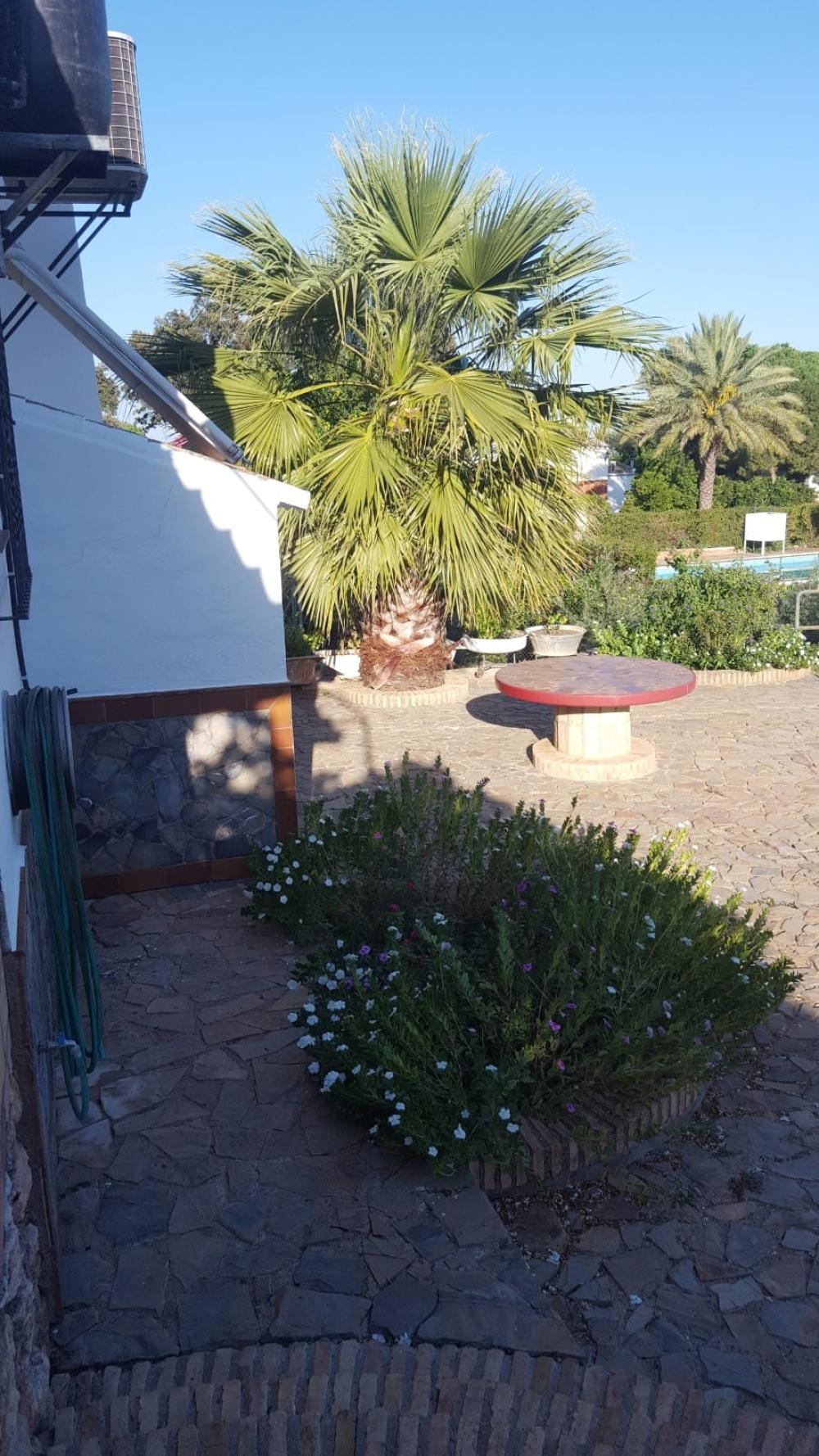  à vendre villa Hornachuelos Valle Medio Del Guadalquivir 6