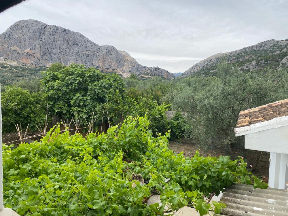  à vendre maison jumelée Alfarnatejo Axarquía 20
