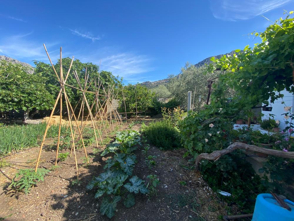  à vendre maison jumelée Alfarnatejo Axarquía 21