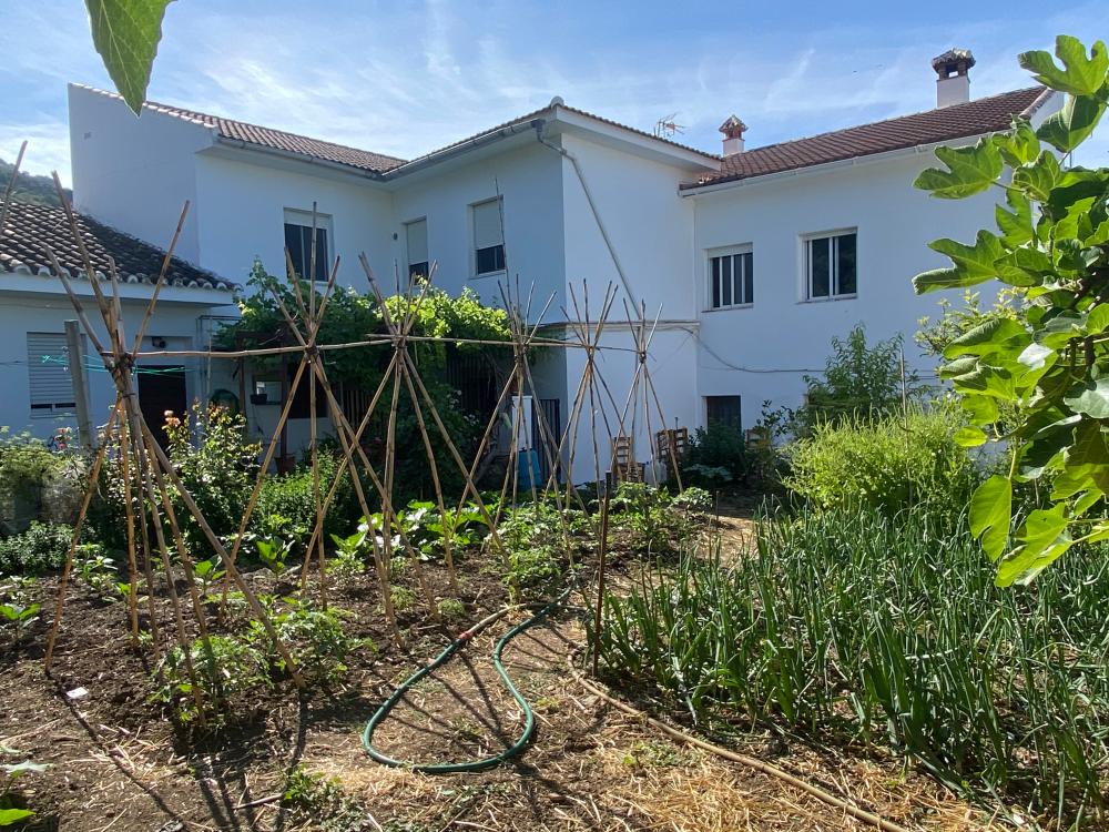  à vendre maison jumelée Alfarnatejo Axarquía 18