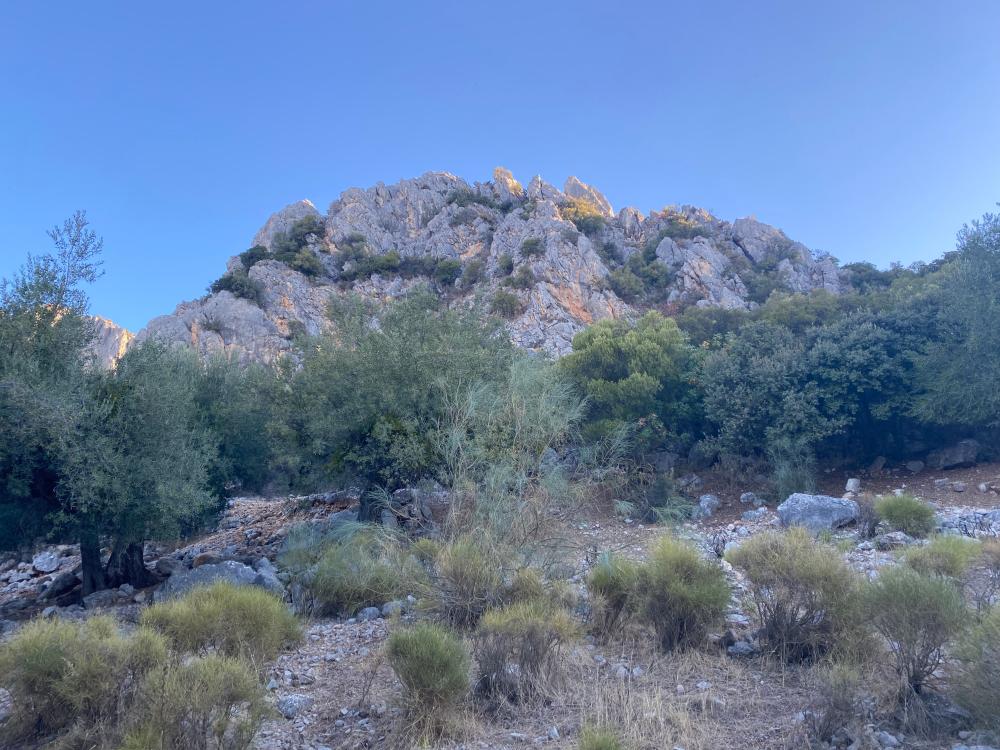  à vendre maison jumelée Alfarnatejo Axarquía 30