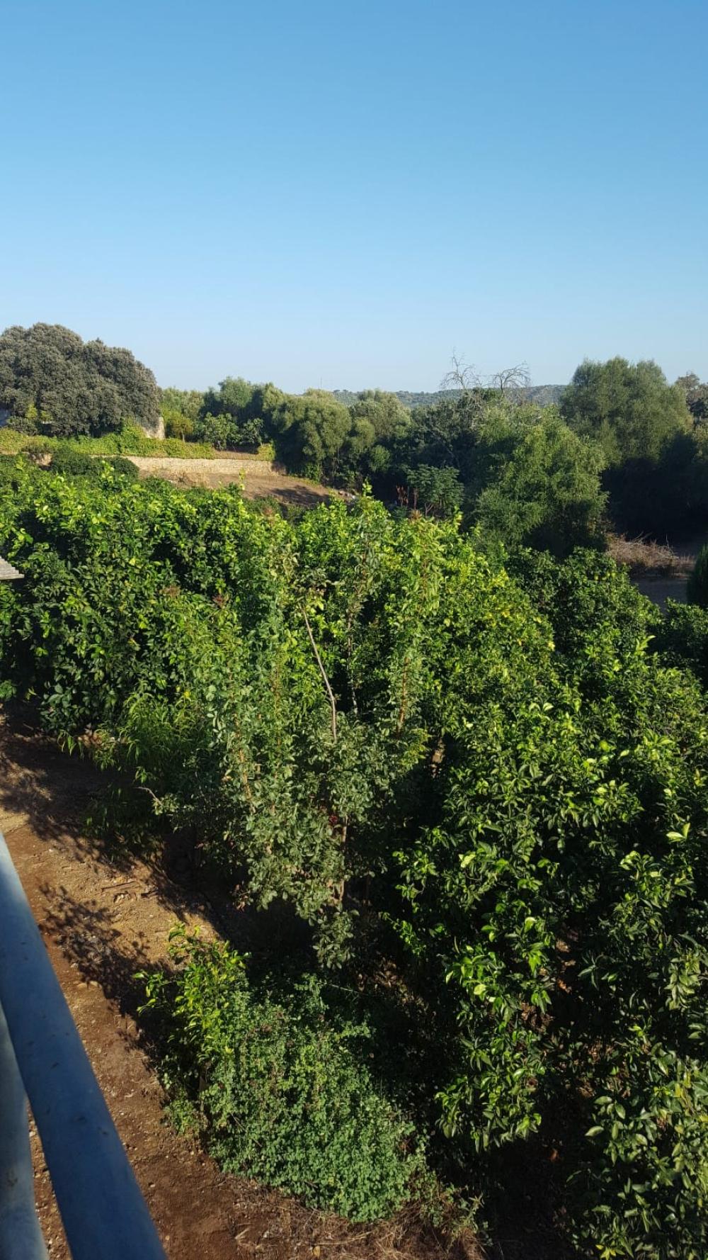  à vendre villa Hornachuelos Valle Medio Del Guadalquivir 9