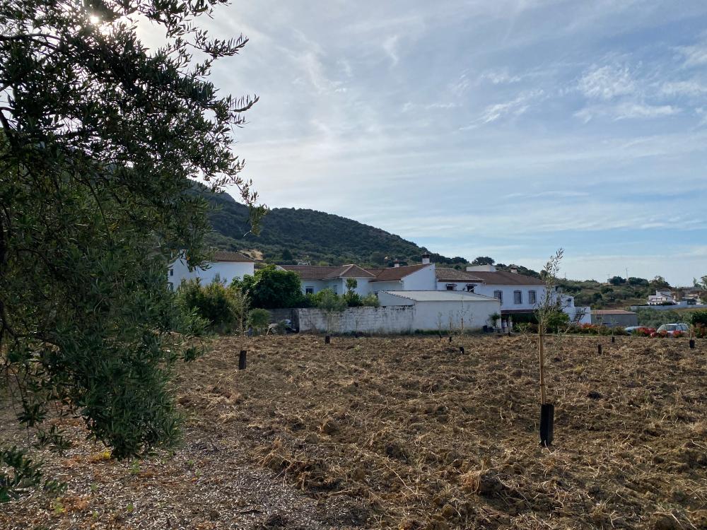  à vendre maison jumelée Alfarnatejo Axarquía 23