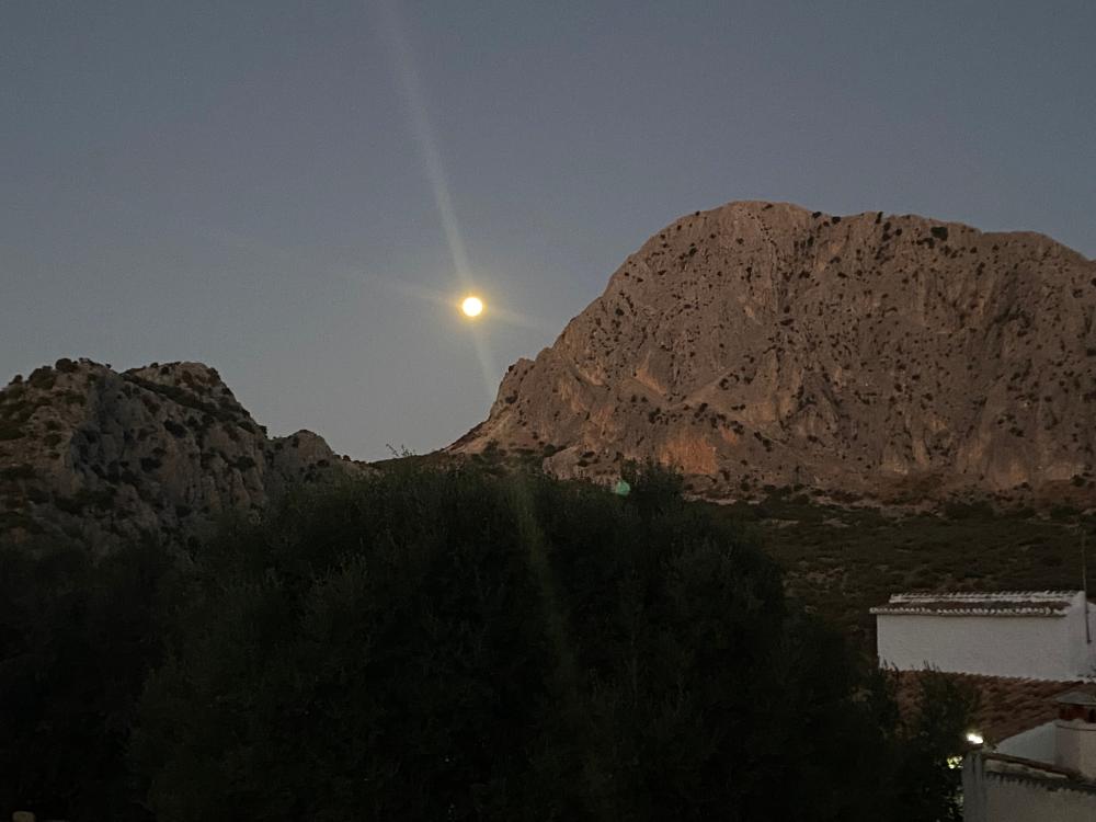  à vendre maison jumelée Alfarnatejo Axarquía 28