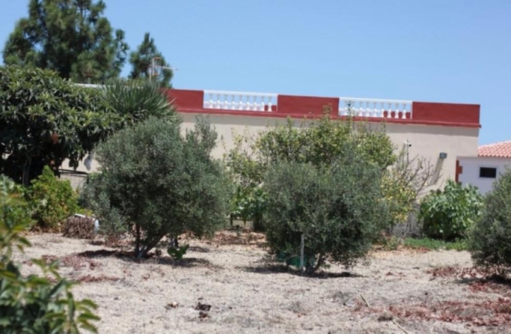 à vendre maison de campagne Cruz De Tea Zona Sur 10