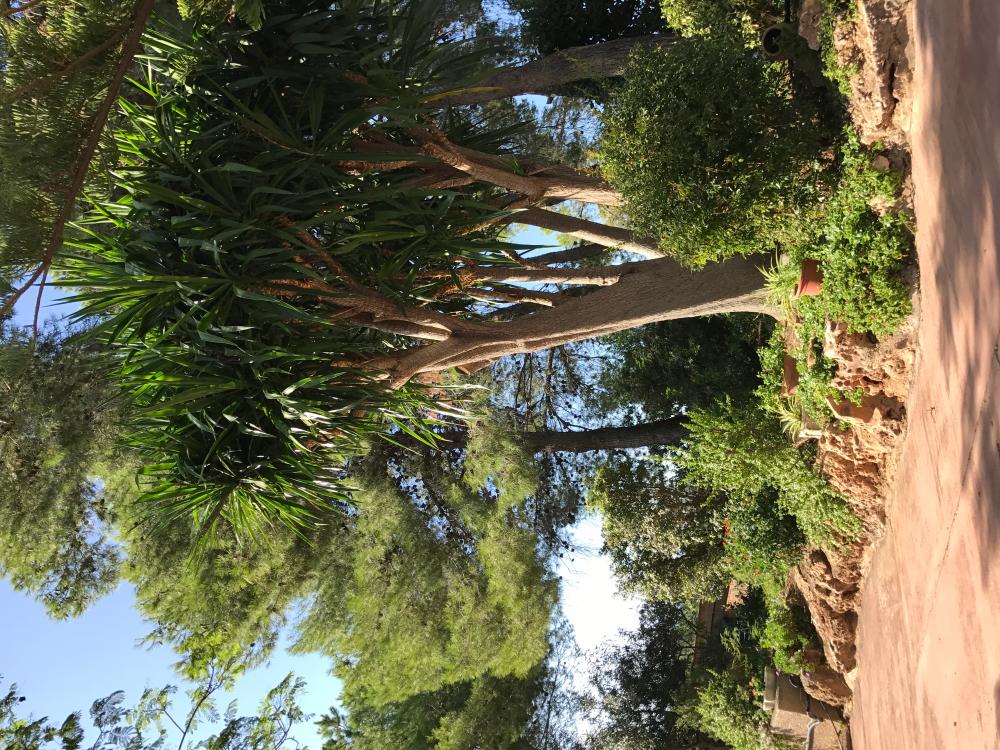  à vendre villa Montserrat Ribera Alta 9