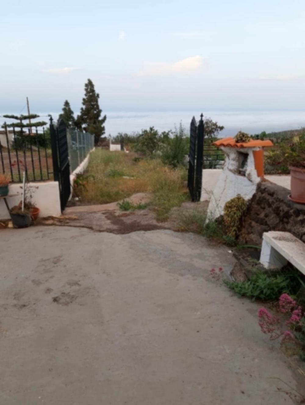  à vendre maison de campagne Cruz De Tea Zona Sur 9
