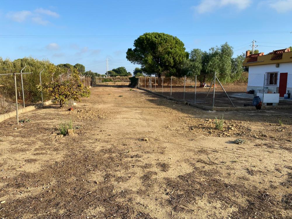  à vendre terrain Puerto Real Bahía De Cádiz 12
