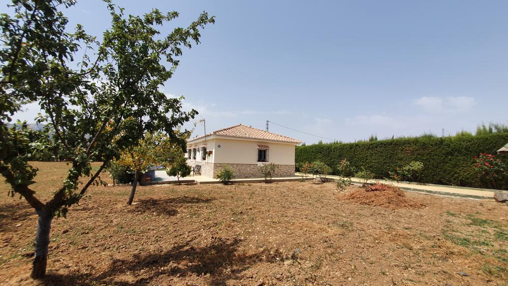  à vendre maison Villanueva Del Rosario Nororma 14