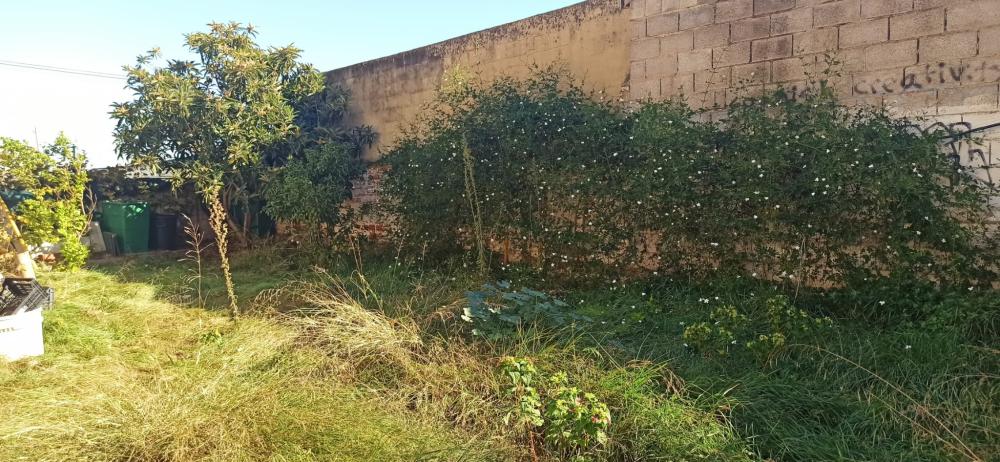  à vendre maison de campagne Foios Horta Nord 15