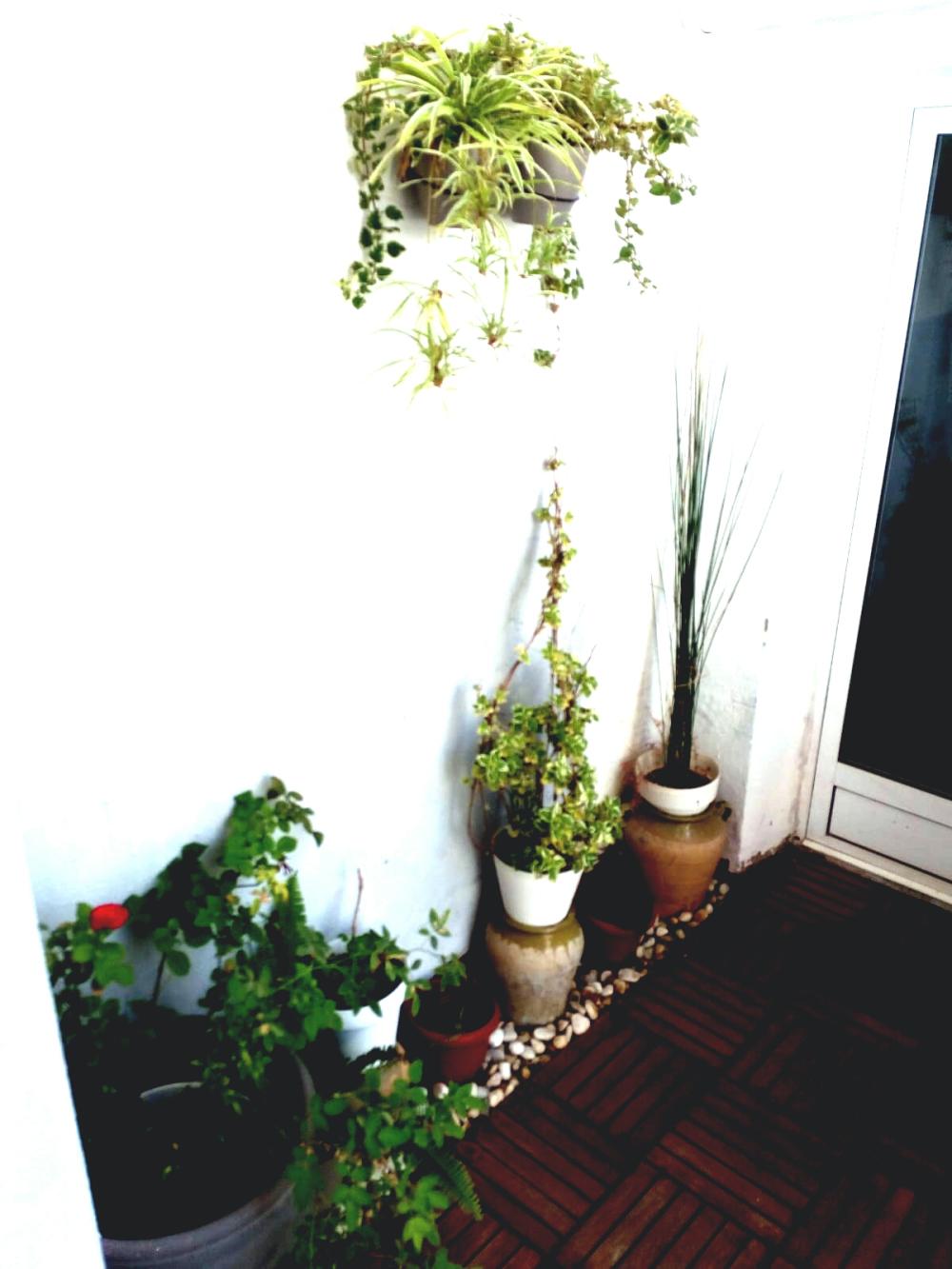  à vendre studio La Saida Sant Antoni Valence 8