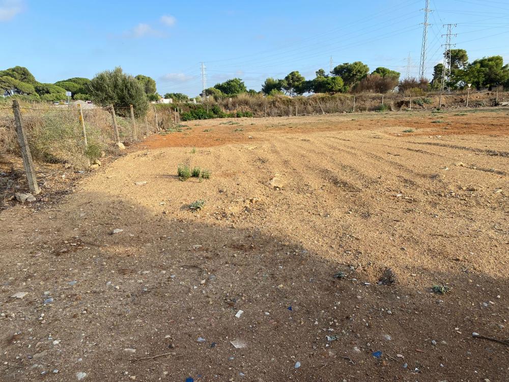  à vendre terrain Puerto Real Bahía De Cádiz 21