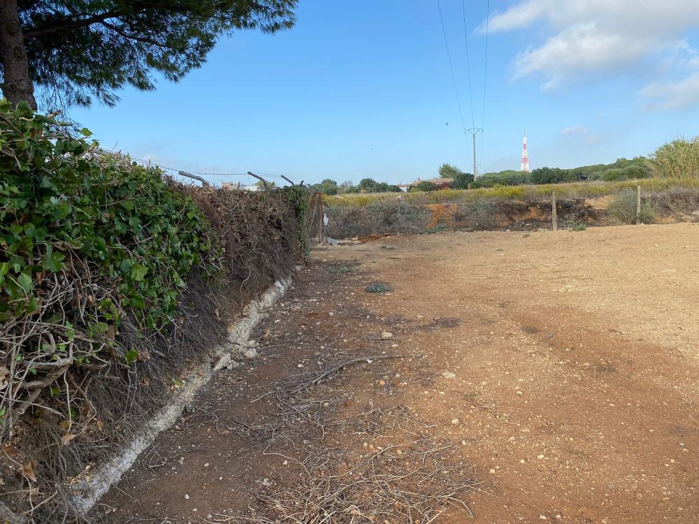  à vendre terrain Puerto Real Bahía De Cádiz 6