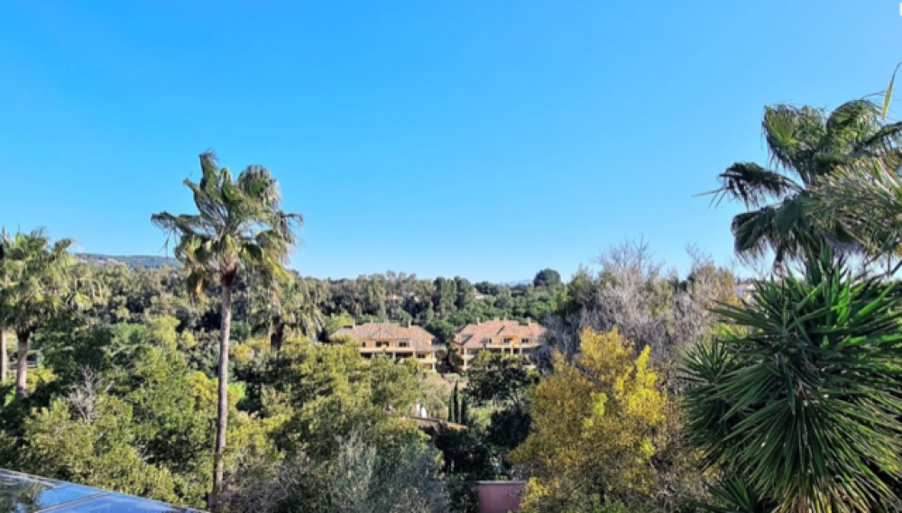  à vendre villa Sotogrande Campo De Gibraltar 46