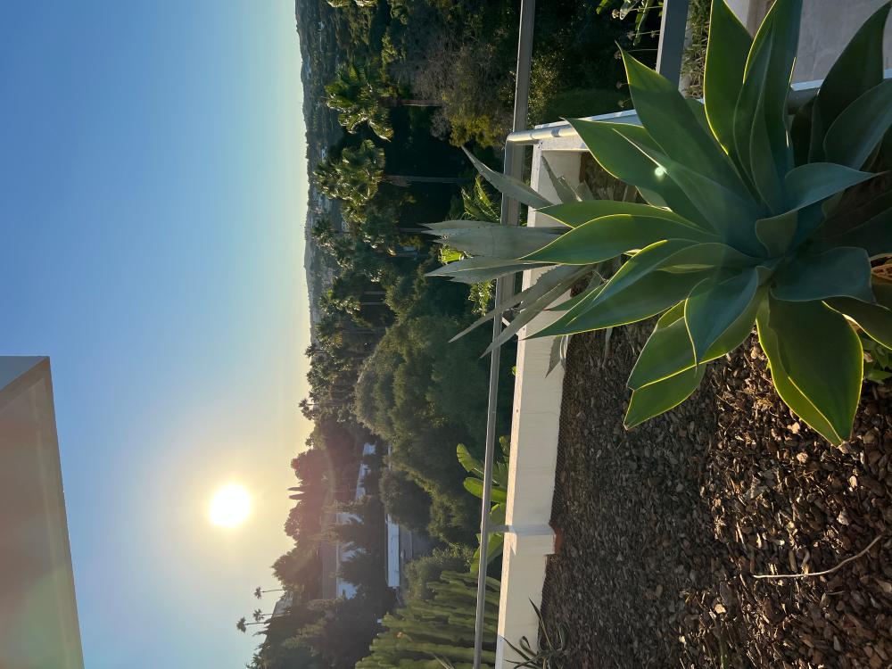  à vendre villa Sotogrande Campo De Gibraltar 45