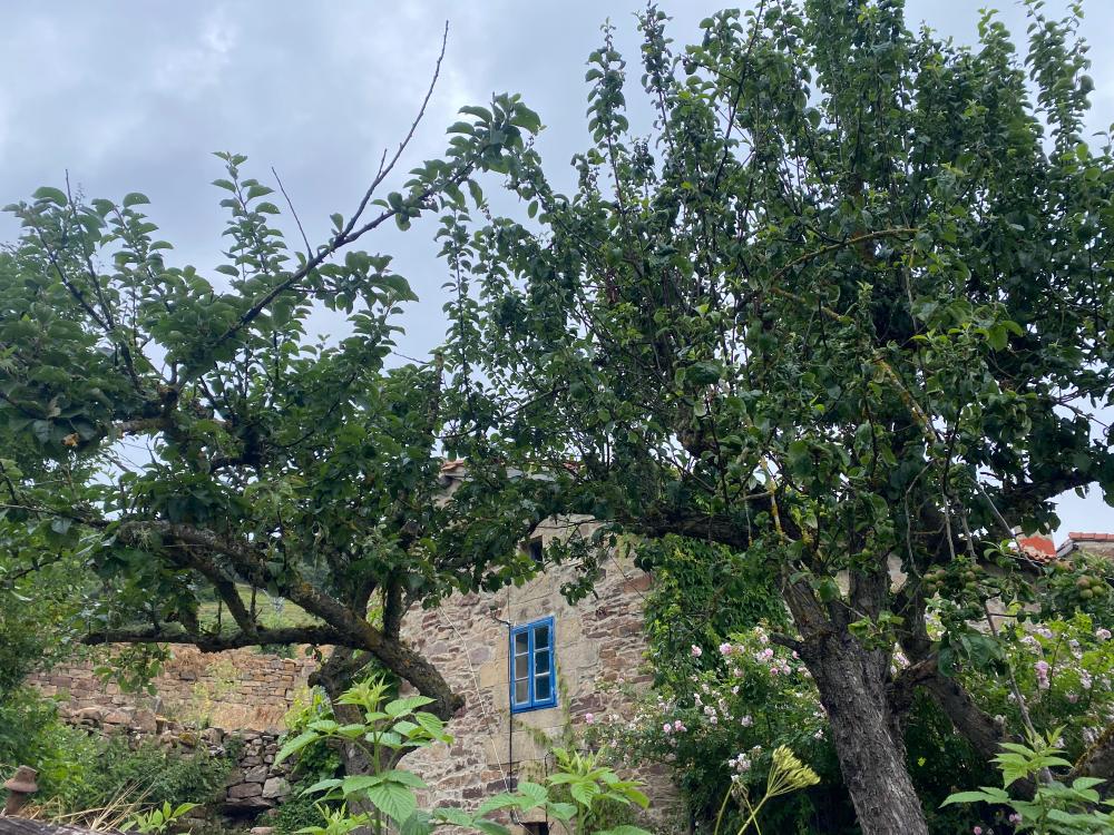 à vendre maison Rebolledo Campoo-Los Valles 22
