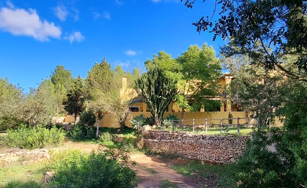  à vendre maison de campagne Sant Rafel De Sa Creu Sant Antoni De Portmany 14