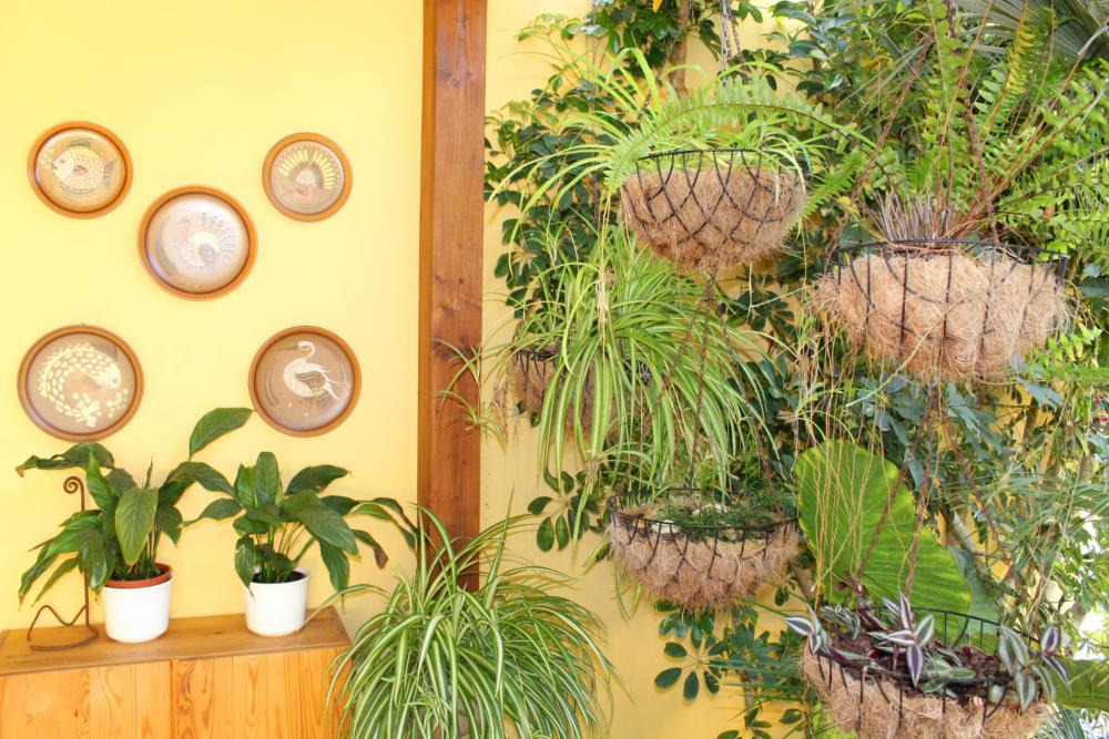  à vendre maison de campagne Sant Rafel De Sa Creu Sant Antoni De Portmany 11