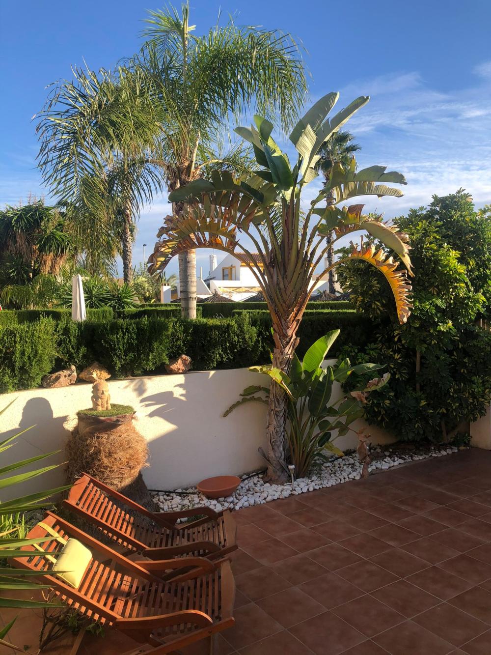  à vendre duplex Torre De La Horadada Baix Segura 5