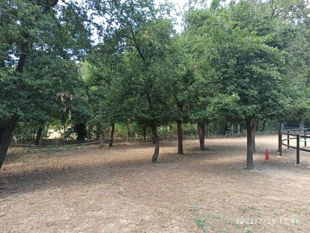 à vendre maison de campagne Folgars De La Selva Maresme 2