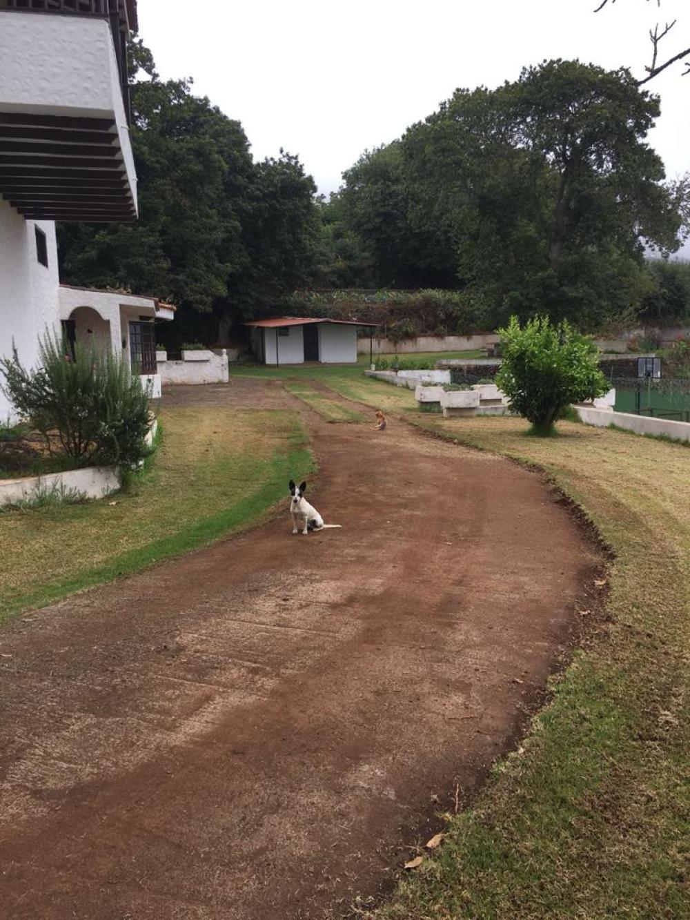  à vendre villa La Matanza De Acentejo Zona Norte 7
