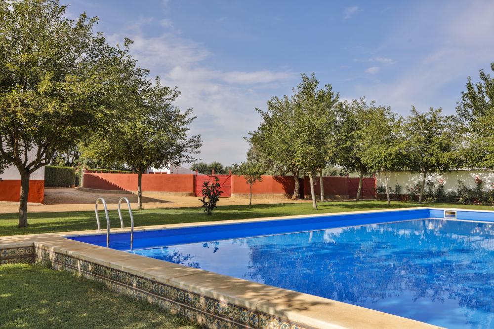  à vendre villa Carmona Campiña De Carmona 12