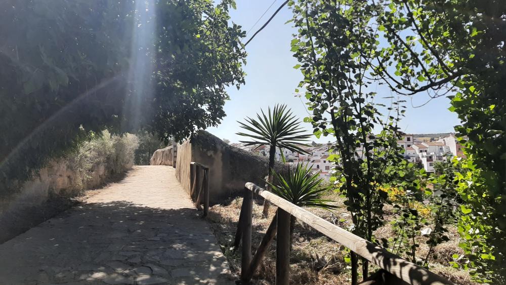  à vendre maison Arriate Serranía De Ronda 15