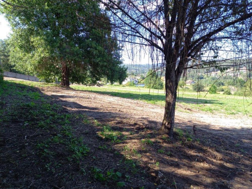  à vendre terrain Mondariz Condado 1