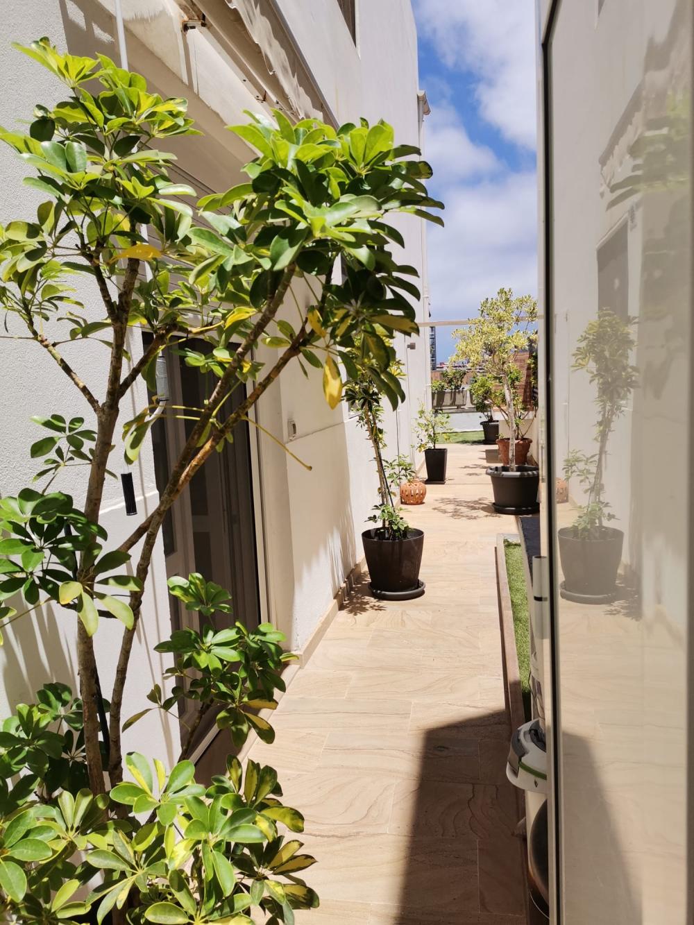 à vendre appartement Ciudad Alta Palmas De Gran Canaria (Las) 2
