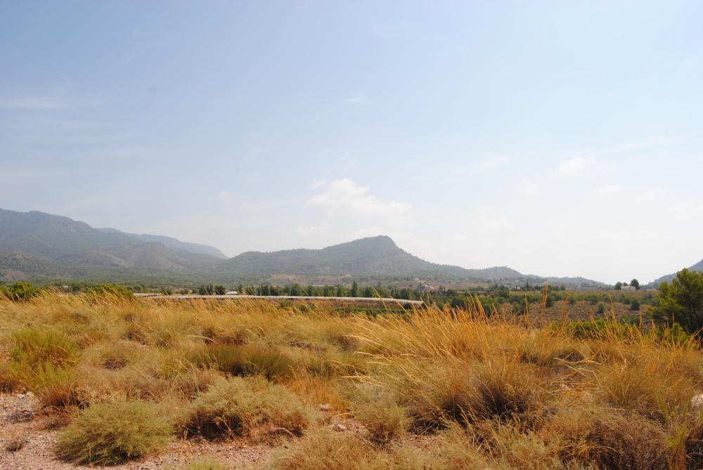  à vendre villa Aledo Bajo Guadalentín 34