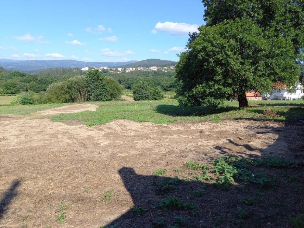  à vendre terrain Mondariz Condado 3