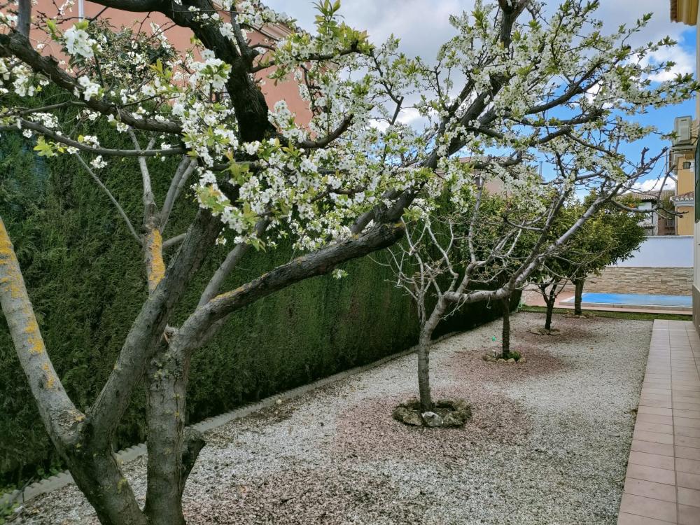  à vendre maison Belicena Vega De Granada 33