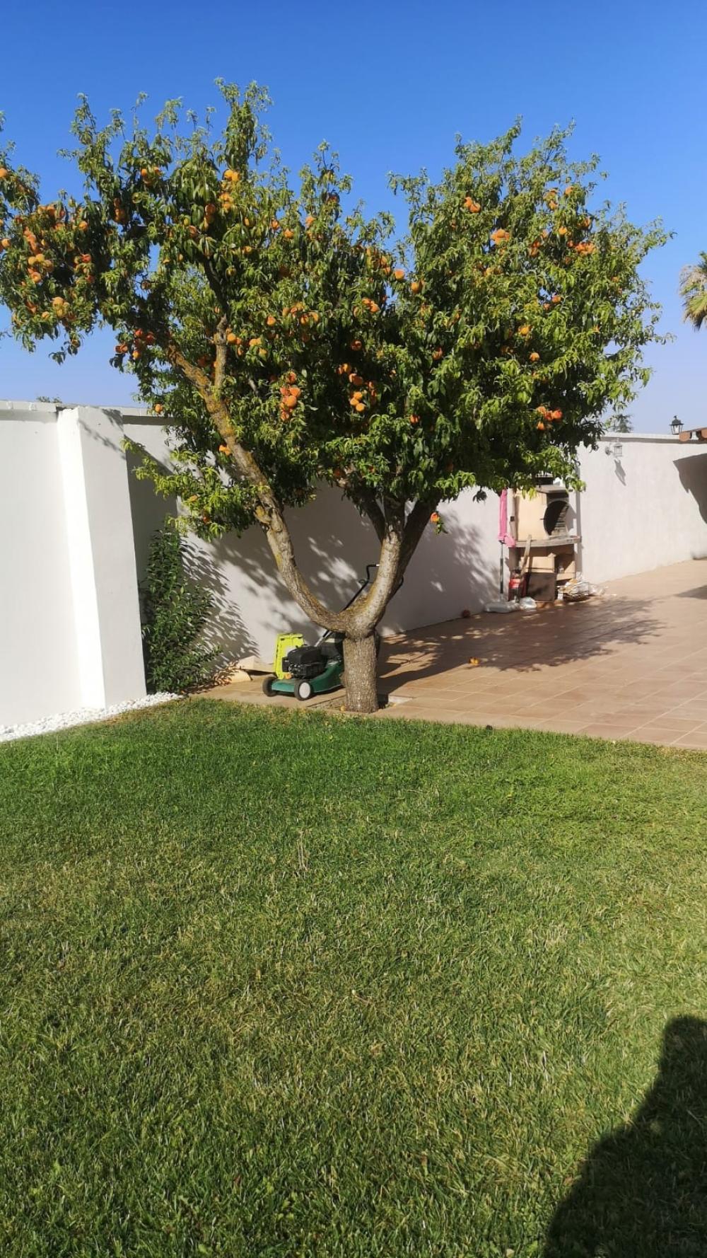  à vendre maison Belicena Vega De Granada 31