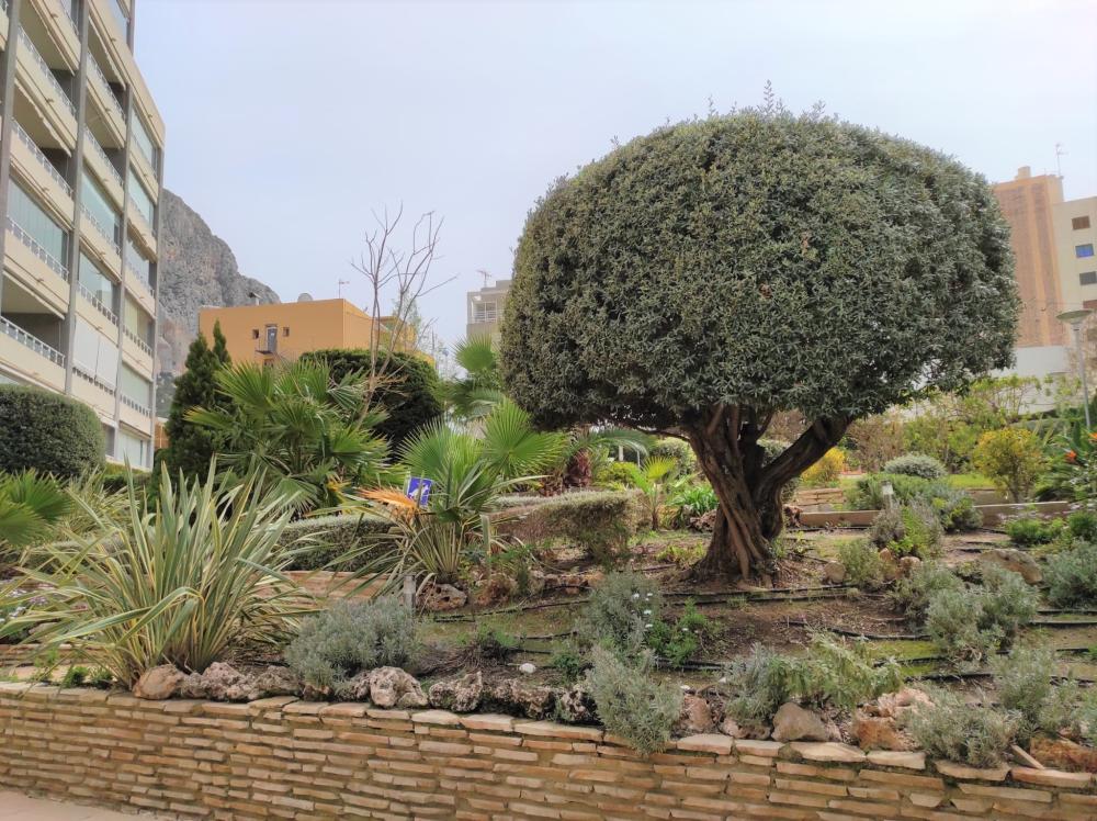  à vendre appartement Calpe Marina Alta 32