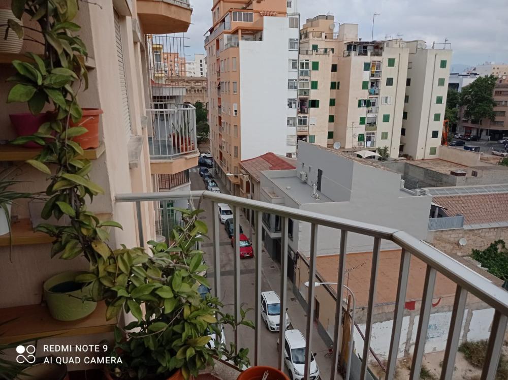  à vendre appartement Plaza De Toros Palma 3