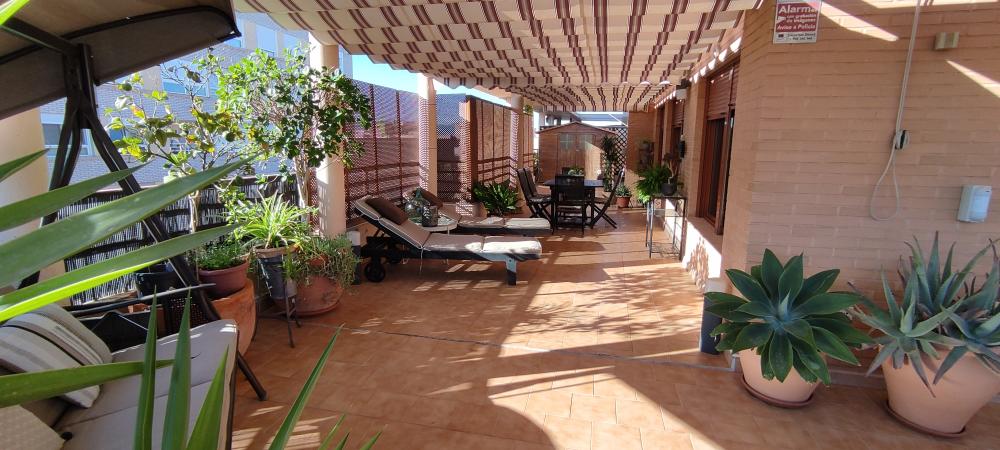  à vendre penthouse Elda Vinalopó Mitjà 5