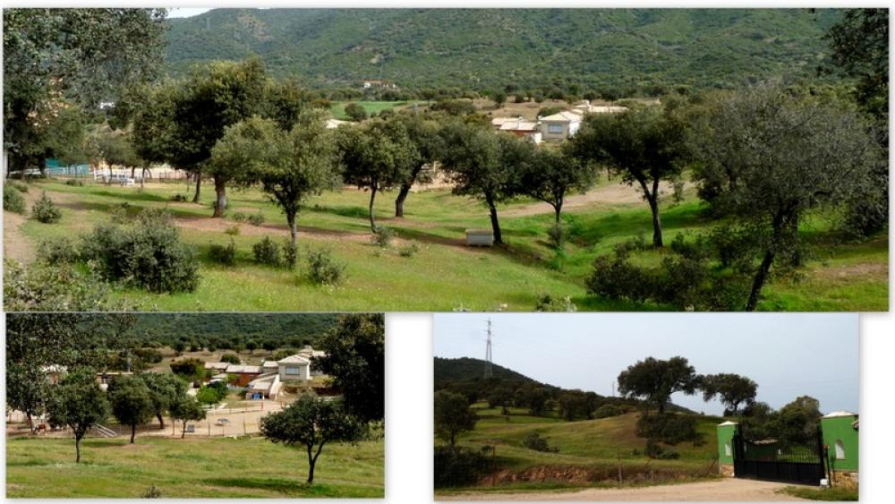  à vendre maison de campagne Espiel Valle Del Guadiato 7