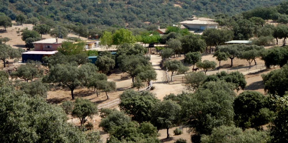  à vendre maison de campagne Espiel Valle Del Guadiato 4