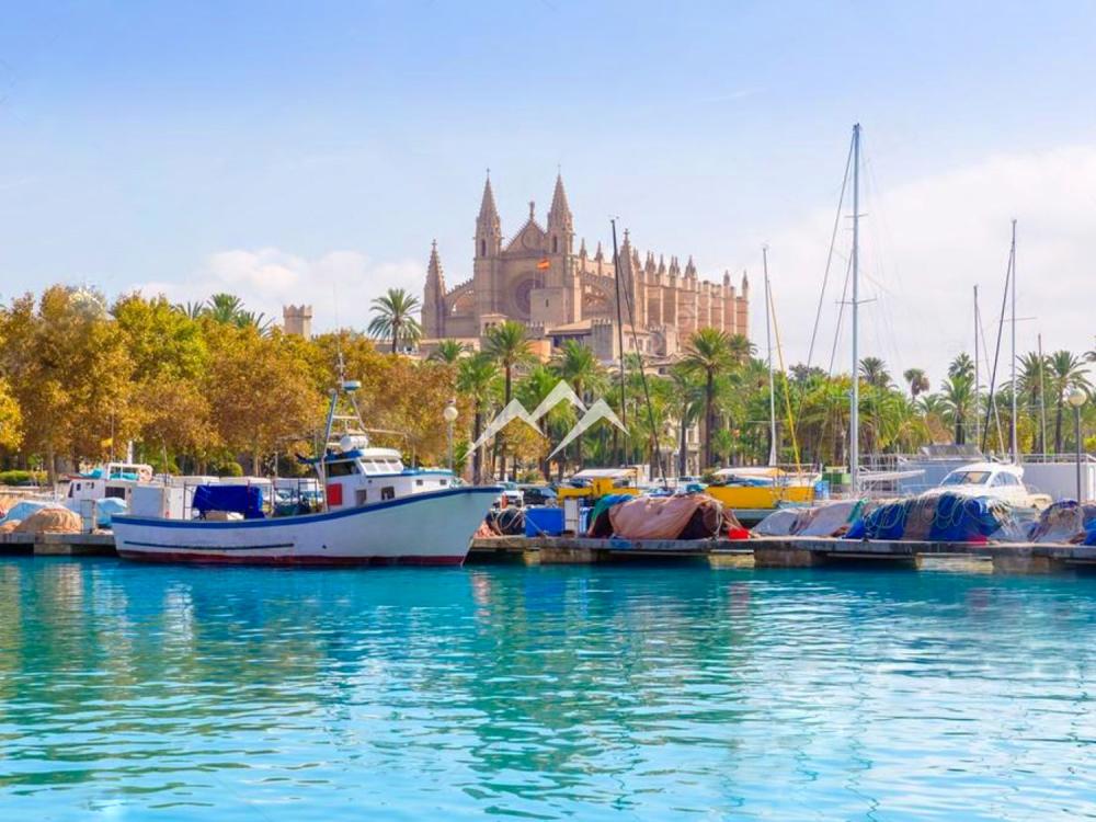  à vendre appartement Palma Casco Antiguo 07003 Palma 16