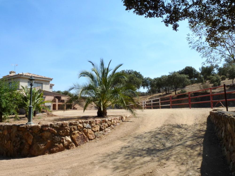  à vendre maison de campagne Espiel Valle Del Guadiato 5