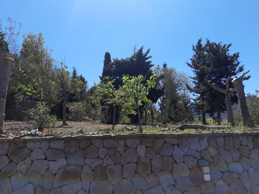  à vendre terrain Esporles Tramuntana 1