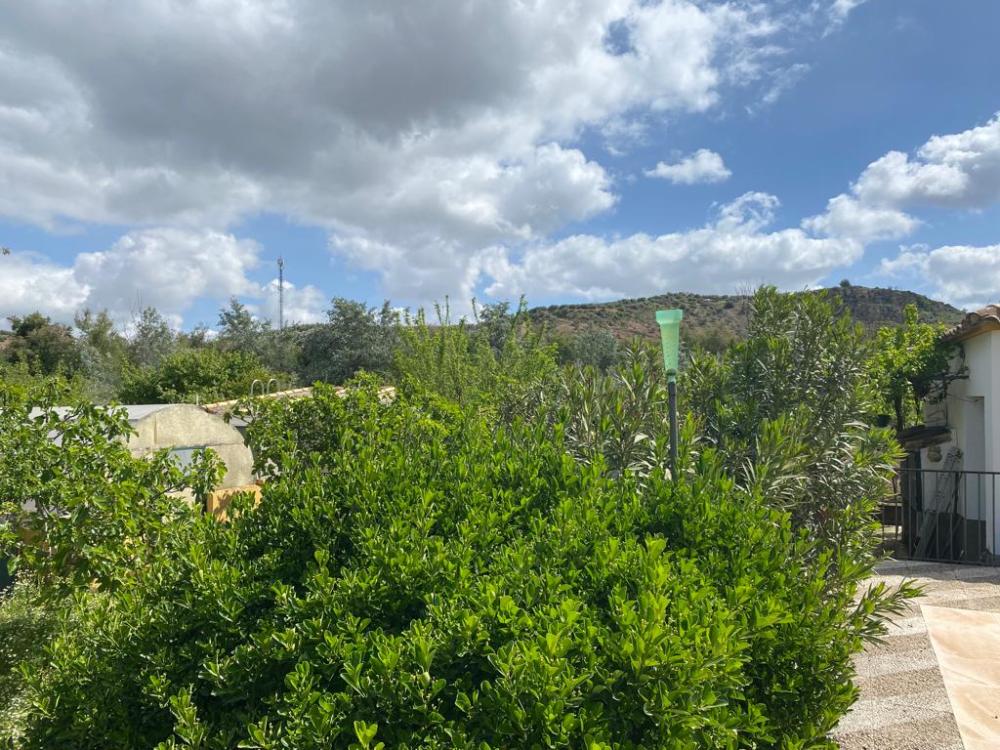  à vendre villa Baena Campiña De Baena 38