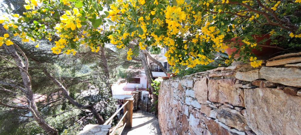  à vendre maison Begur Baix Empordà 5