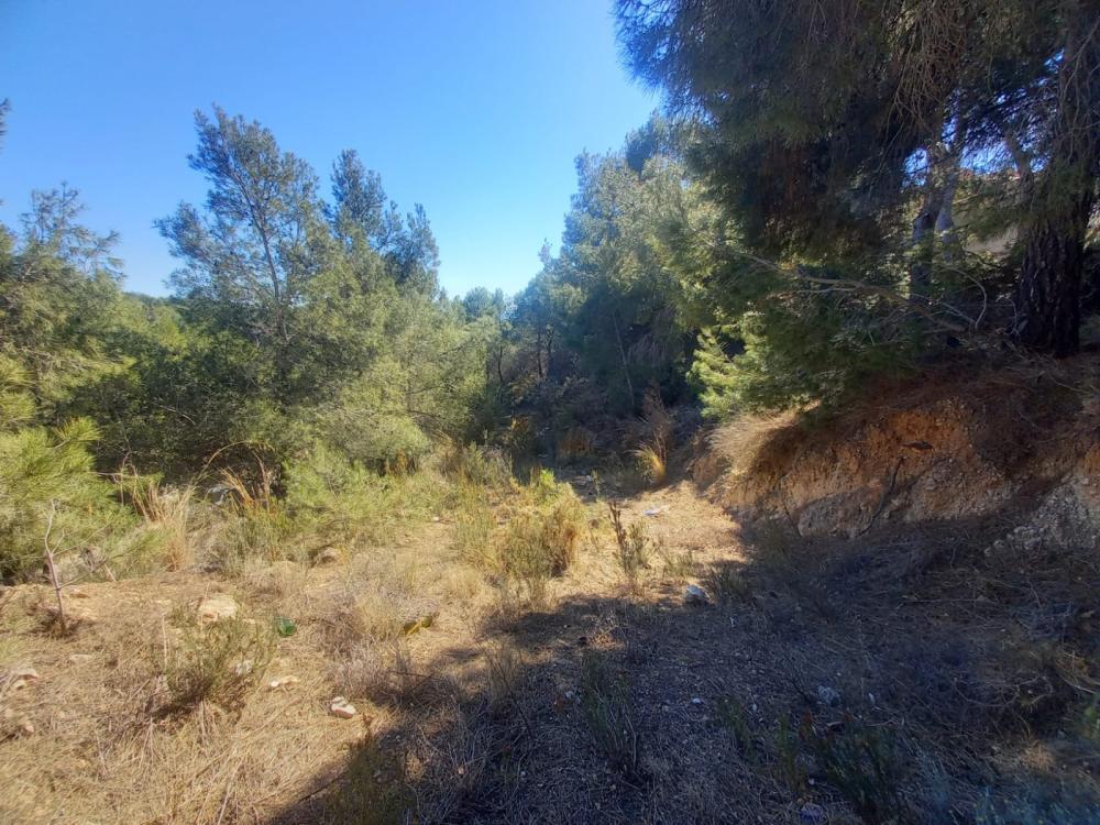  à vendre terrain Sierra De Altea Marina Baixa 12