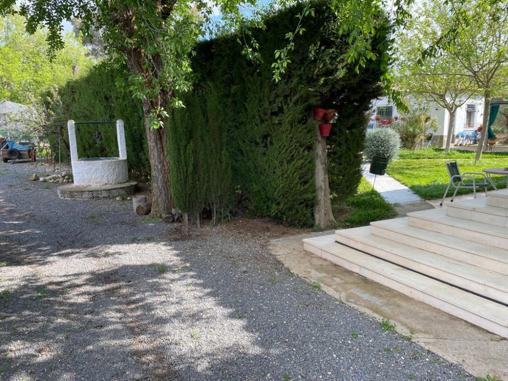  à vendre villa Baena Campiña De Baena 8