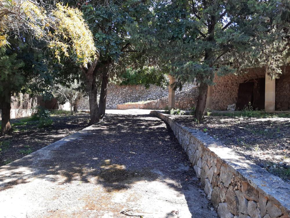  à vendre terrain Esporles Tramuntana 3