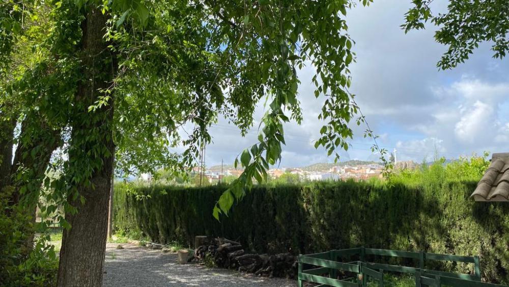 à vendre villa Baena Campiña De Baena 14