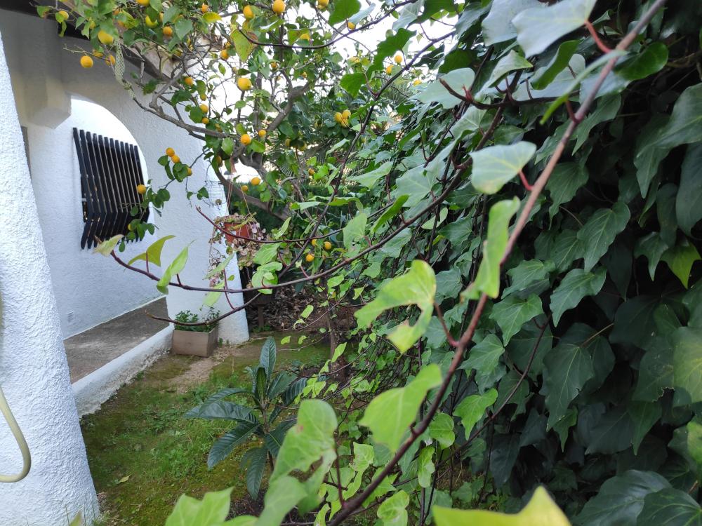  à vendre villa Barri Maritim De Comarruga Baix Penedès 17